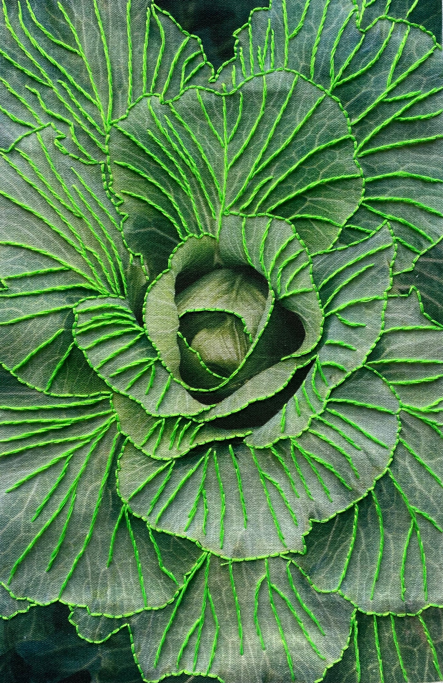 Nervaduras